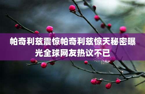 帕奇利兹震惊帕奇利兹惊天秘密曝光全球网友热议不已