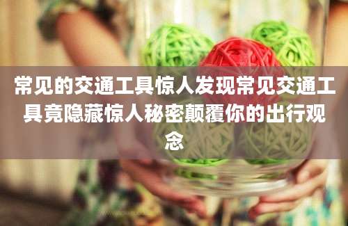 常见的交通工具惊人发现常见交通工具竟隐藏惊人秘密颠覆你的出行观念