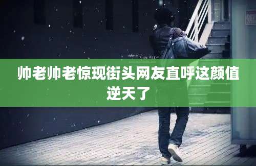 帅老帅老惊现街头网友直呼这颜值逆天了