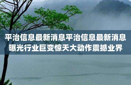 平治信息最新消息平治信息最新消息曝光行业巨变惊天大动作震撼业界