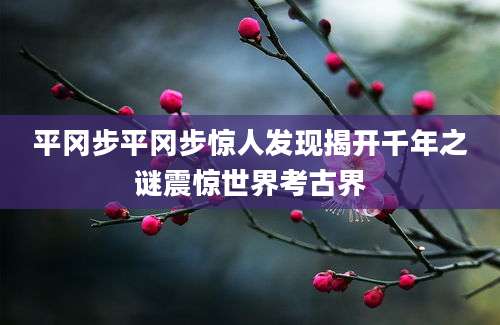 平冈步平冈步惊人发现揭开千年之谜震惊世界考古界