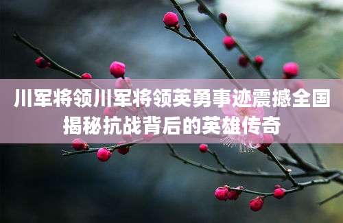 川军将领川军将领英勇事迹震撼全国揭秘抗战背后的英雄传奇