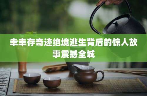幸幸存奇迹绝境逃生背后的惊人故事震撼全城