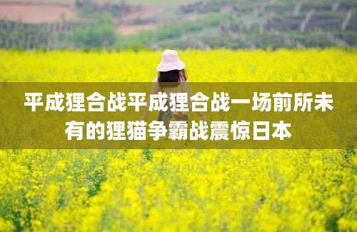 平成狸合战平成狸合战一场前所未有的狸猫争霸战震惊日本