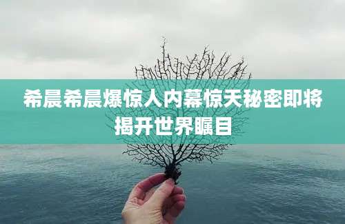 希晨希晨爆惊人内幕惊天秘密即将揭开世界瞩目