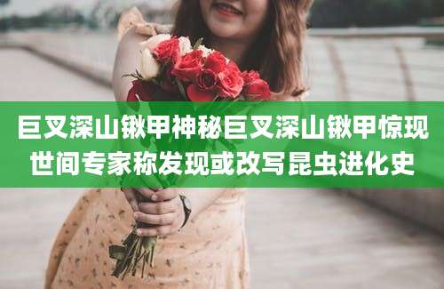 巨叉深山锹甲神秘巨叉深山锹甲惊现世间专家称发现或改写昆虫进化史
