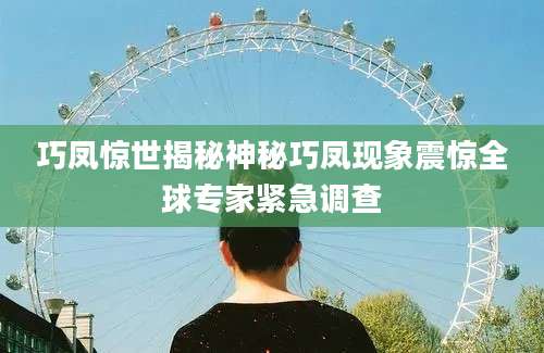 巧凤惊世揭秘神秘巧凤现象震惊全球专家紧急调查
