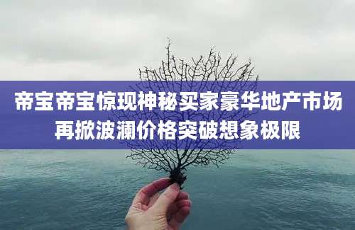帝宝帝宝惊现神秘买家豪华地产市场再掀波澜价格突破想象极限