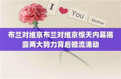 布兰对维京布兰对维京惊天内幕揭露两大势力背后暗流涌动