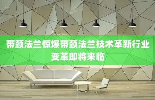 带颈法兰惊爆带颈法兰技术革新行业变革即将来临