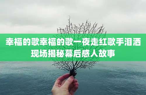幸福的歌幸福的歌一夜走红歌手泪洒现场揭秘幕后感人故事
