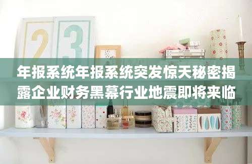 年报系统年报系统突发惊天秘密揭露企业财务黑幕行业地震即将来临