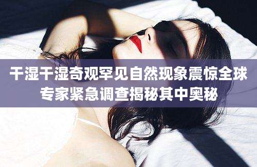 干湿干湿奇观罕见自然现象震惊全球专家紧急调查揭秘其中奥秘