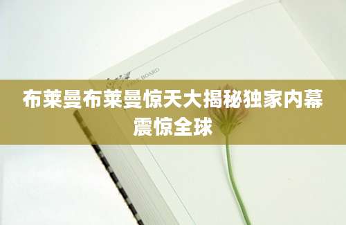 布莱曼布莱曼惊天大揭秘独家内幕震惊全球