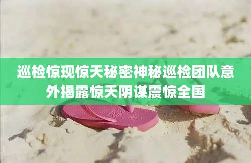巡检惊现惊天秘密神秘巡检团队意外揭露惊天阴谋震惊全国
