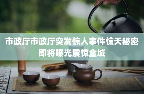 市政厅市政厅突发惊人事件惊天秘密即将曝光震惊全城