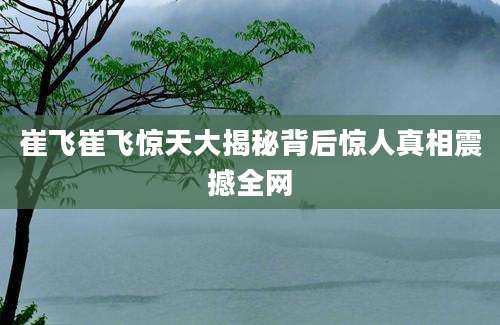 崔飞崔飞惊天大揭秘背后惊人真相震撼全网