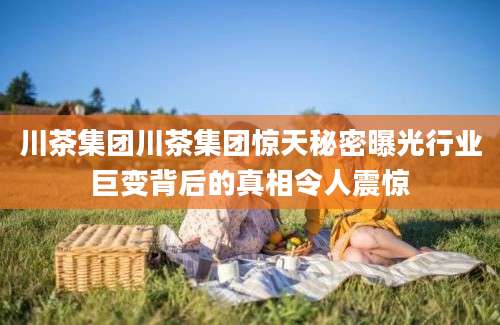 川茶集团川茶集团惊天秘密曝光行业巨变背后的真相令人震惊