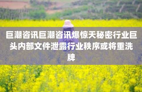 巨潮咨讯巨潮咨讯爆惊天秘密行业巨头内部文件泄露行业秩序或将重洗牌