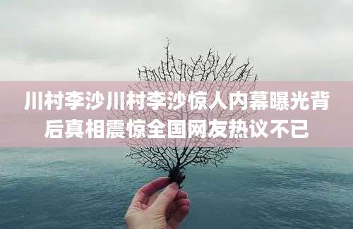 川村李沙川村李沙惊人内幕曝光背后真相震惊全国网友热议不已