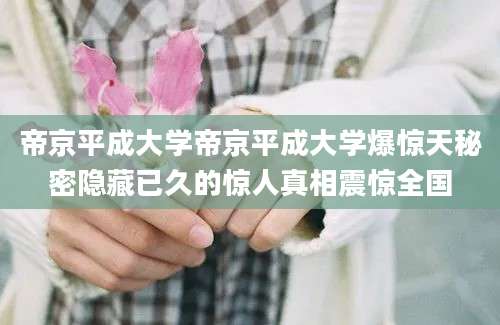 帝京平成大学帝京平成大学爆惊天秘密隐藏已久的惊人真相震惊全国