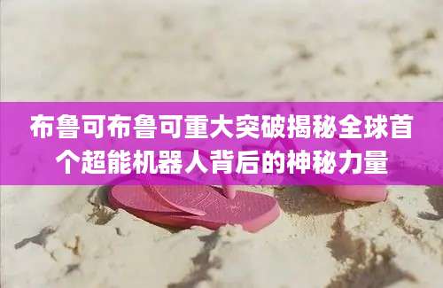 布鲁可布鲁可重大突破揭秘全球首个超能机器人背后的神秘力量