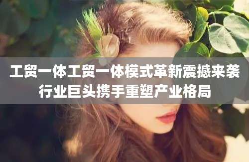 工贸一体工贸一体模式革新震撼来袭行业巨头携手重塑产业格局