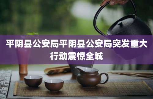 平阴县公安局平阴县公安局突发重大行动震惊全城