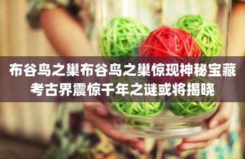 布谷鸟之巢布谷鸟之巢惊现神秘宝藏考古界震惊千年之谜或将揭晓