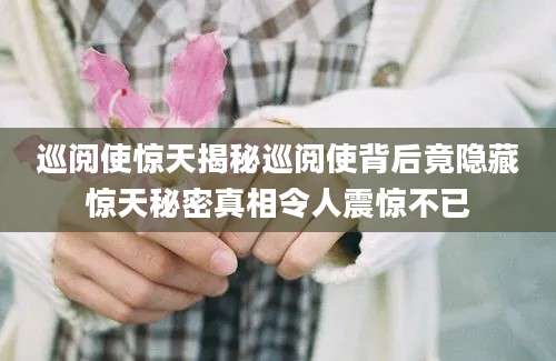 巡阅使惊天揭秘巡阅使背后竟隐藏惊天秘密真相令人震惊不已