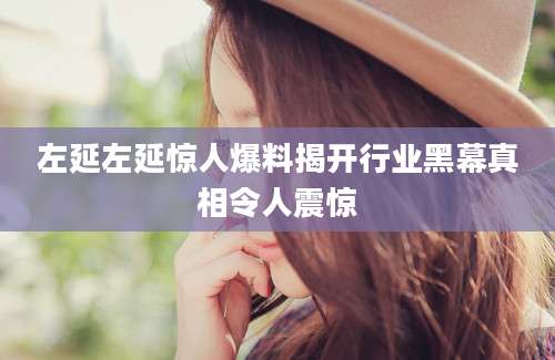 左延左延惊人爆料揭开行业黑幕真相令人震惊