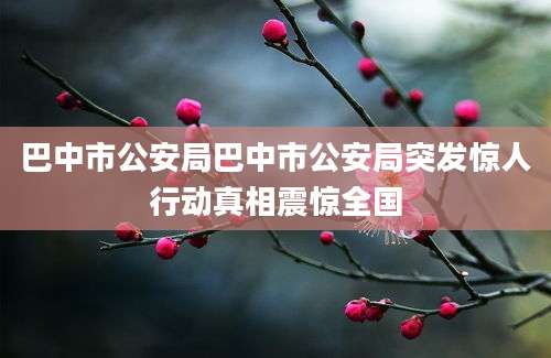 巴中市公安局巴中市公安局突发惊人行动真相震惊全国