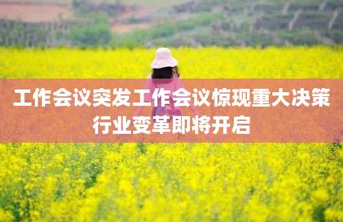 工作会议突发工作会议惊现重大决策行业变革即将开启