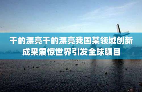 干的漂亮干的漂亮我国某领域创新成果震惊世界引发全球瞩目