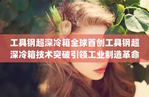 工具钢超深冷箱全球首创工具钢超深冷箱技术突破引领工业制造革命