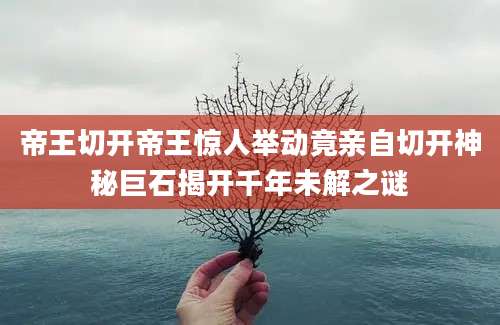帝王切开帝王惊人举动竟亲自切开神秘巨石揭开千年未解之谜