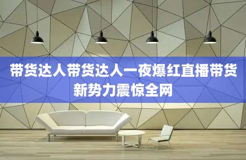 带货达人带货达人一夜爆红直播带货新势力震惊全网