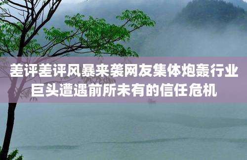 差评差评风暴来袭网友集体炮轰行业巨头遭遇前所未有的信任危机