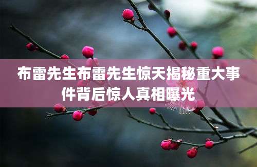 布雷先生布雷先生惊天揭秘重大事件背后惊人真相曝光
