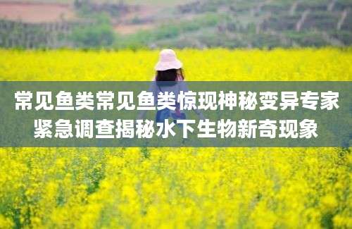 常见鱼类常见鱼类惊现神秘变异专家紧急调查揭秘水下生物新奇现象
