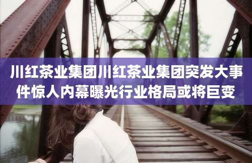 川红茶业集团川红茶业集团突发大事件惊人内幕曝光行业格局或将巨变