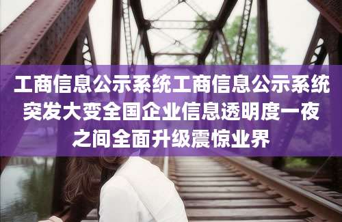 工商信息公示系统工商信息公示系统突发大变全国企业信息透明度一夜之间全面升级震惊业界