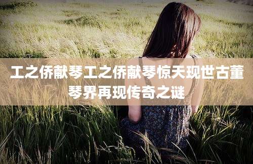 工之侨献琴工之侨献琴惊天现世古董琴界再现传奇之谜