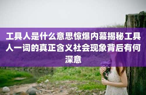 工具人是什么意思惊爆内幕揭秘工具人一词的真正含义社会现象背后有何深意