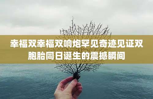 幸福双幸福双响炮罕见奇迹见证双胞胎同日诞生的震撼瞬间