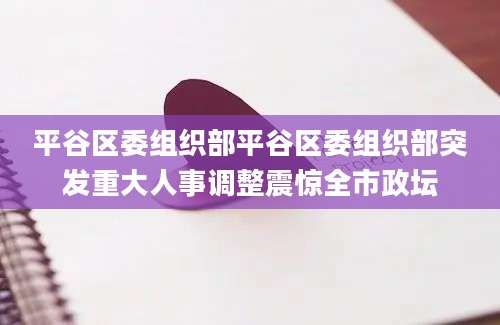 平谷区委组织部平谷区委组织部突发重大人事调整震惊全市政坛