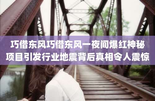 巧借东风巧借东风一夜间爆红神秘项目引发行业地震背后真相令人震惊