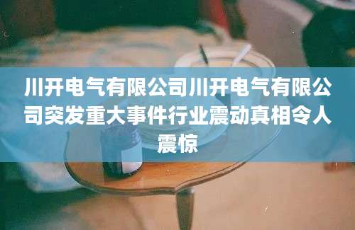 川开电气有限公司川开电气有限公司突发重大事件行业震动真相令人震惊