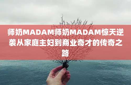 师奶MADAM师奶MADAM惊天逆袭从家庭主妇到商业奇才的传奇之路