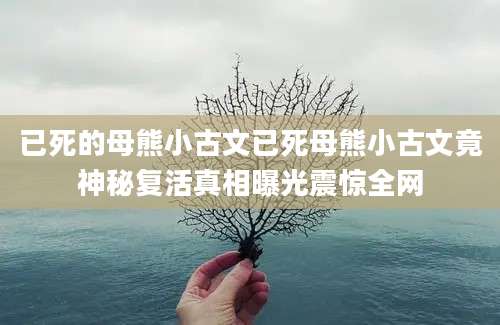 已死的母熊小古文已死母熊小古文竟神秘复活真相曝光震惊全网